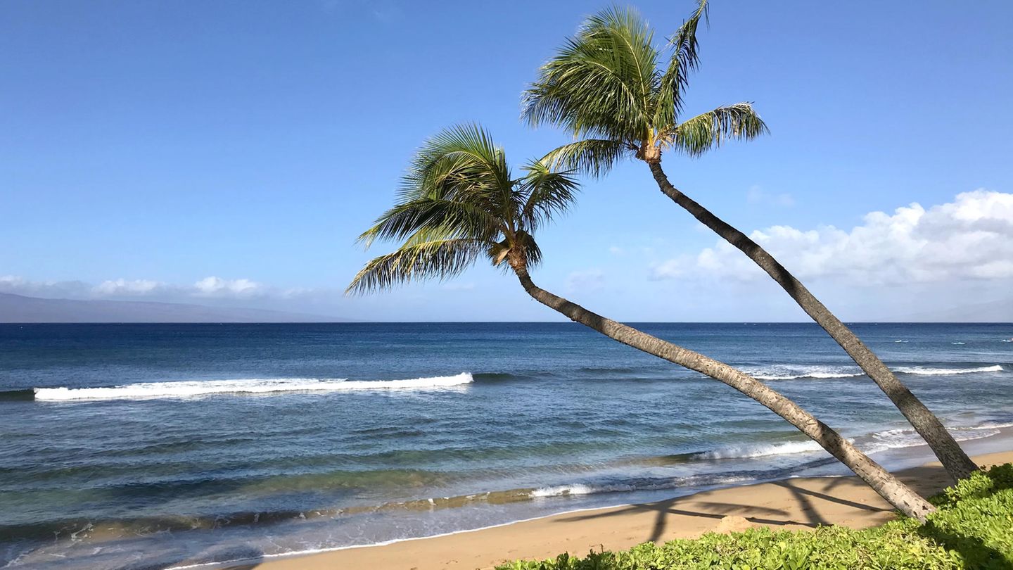 Schnorcheln, tauchen oder einfach nur die Sonne unter Palmen genießen – das geht am Ka’anapali Beach auf der Hawaii-Insel Maui. Die sanften Wellen des türkisblauen Wassers sorgen dafür, dass auch Schwimmanfänger das Meer genießen können. 