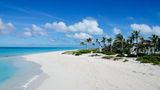 Der Inbegriff des paradiesischen Strandes liegt wohl auf den Turks und Caicosinseln. Der Grace Bay Beach überzeugt mit puderzuckerweißem Sand und glasklarem Wasser – und ist umgeben von einem wilden Palmengarten. Perfekt für alle, die sich mal wie Robinson Crusoe fühlen wollen. 
