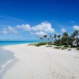 Der Inbegriff des paradiesischen Strandes liegt wohl auf den Turks und Caicosinseln. Der Grace Bay Beach überzeugt mit puderzuckerweißem Sand und glasklarem Wasser – und ist umgeben von einem wilden Palmengarten. Perfekt für alle, die sich mal wie Robinson Crusoe fühlen wollen. 