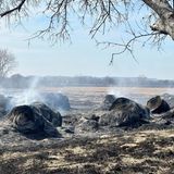 Auf diesem Feld bleiben nach dem Feuer nur rauchende Reste von großen Strohrollen zurück – soweit sich das noch sagen lässt