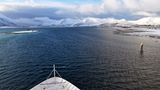 Am Morgen des dritten Tages wird der Risøy-Kanal befahren. Die einst seichte Meerenge bei der Insel Andøya konnten Menschen vor gut hundert Jahren noch bei Ebbe durchwaten, bevor die heute nur 100 Meter breite 7 Meter tiefe Fahrrinne ausgebaggert wurde. Im Hintergrund ragen die mit Neuschnee bedeckten Berge der Vesterålen auf.