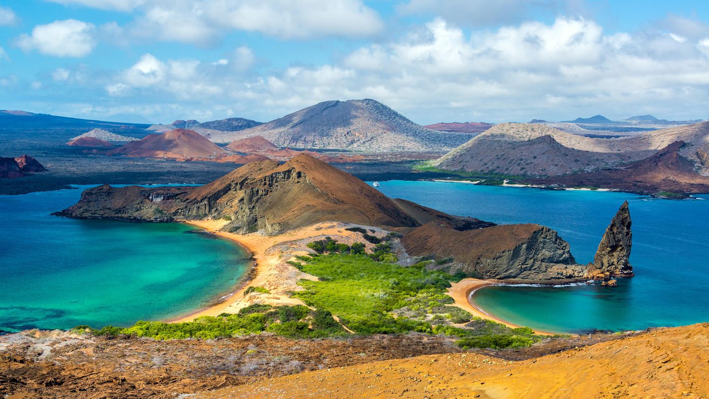 Ein echtes Naturparadies, das sind die Galapagos-Inseln. Und damit das angesichts steigender Besucherzahlen auch so bleibt, verdoppelt die Inselregierung des Archipels nun die Touristengebühr. Ab Ende August müssen Touristen also 200 Dollar (circa 185 Euro) bei der Ankunft auf einer der insgesamt 18 Inseln zahlen, die zu Ecuador gehören. Mit dem eingenommenen Geld soll unter anderem der Park-Ranger-Dienst bezahlt werden, der alle Besucher der Inseln begleitet sowie Maßnahmen zum Schutz des Ökosystems finanziert werden. Es ist die erste Erhöhung dieser Art seit mehr als 20 Jahren. 