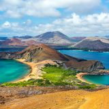Ein echtes Naturparadies, das sind die Galapagos-Inseln. Und damit das angesichts steigender Besucherzahlen auch so bleibt, verdoppelt die Inselregierung des Archipels nun die Touristengebühr. Ab Ende August müssen Touristen also 200 Dollar (circa 185 Euro) bei der Ankunft auf einer der insgesamt 18 Inseln zahlen, die zu Ecuador gehören. Mit dem eingenommenen Geld soll unter anderem der Park-Ranger-Dienst bezahlt werden, der alle Besucher der Inseln begleitet sowie Maßnahmen zum Schutz des Ökosystems finanziert werden. Es ist die erste Erhöhung dieser Art seit mehr als 20 Jahren. 