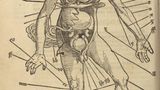 Feldtbuch der Wundartzney
