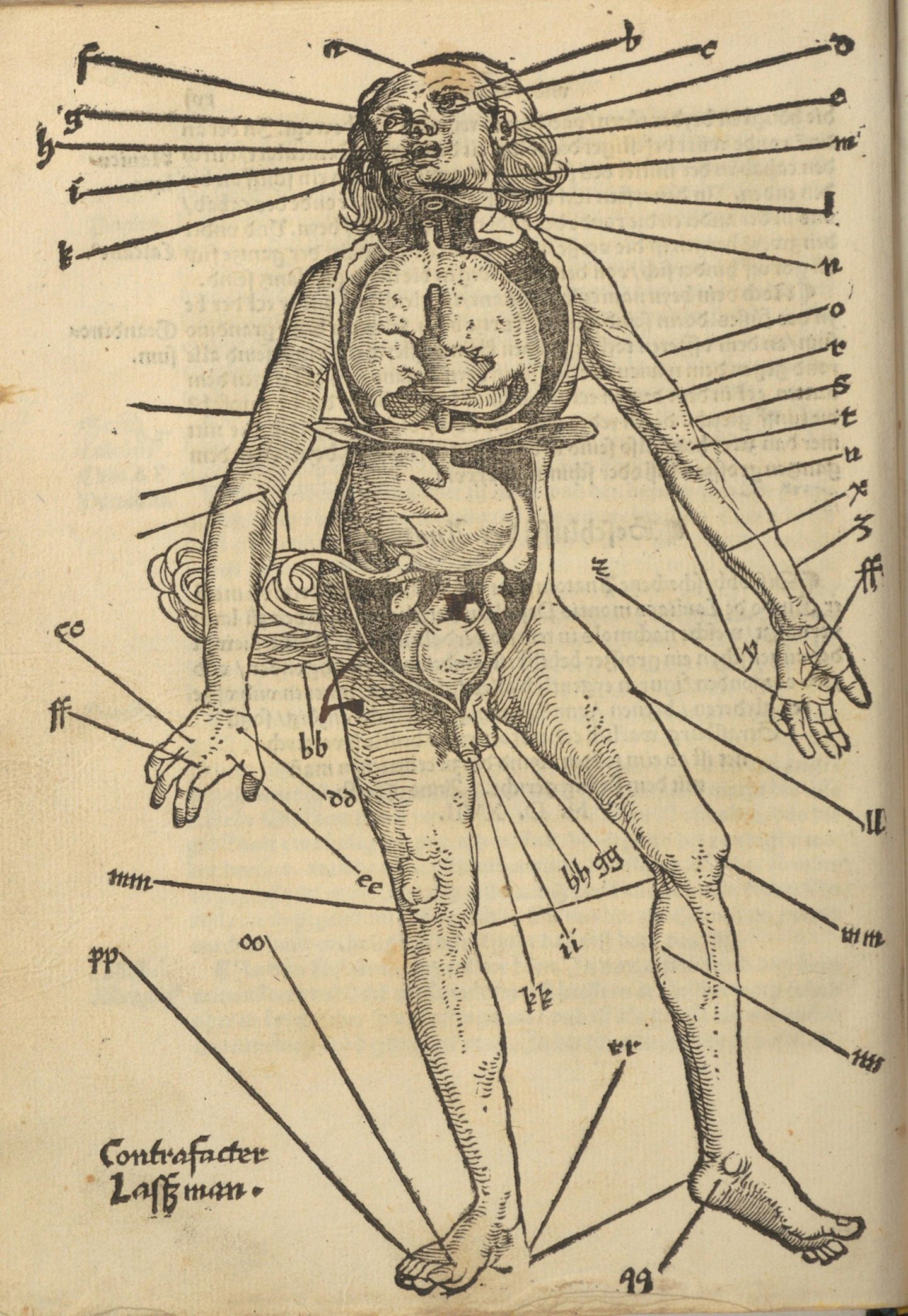 Feldtbuch der Wundartzney