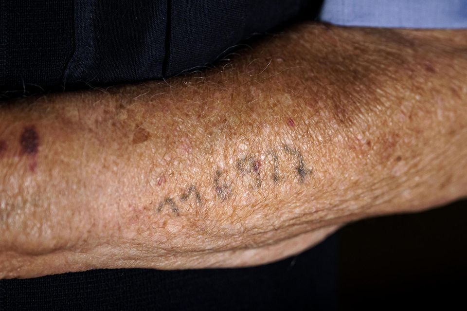 Albrechts Nummer aus Auschwitz Albrechts Nummer aus Auschwitz