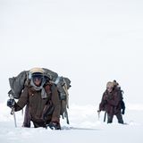 Die Schneegesellschaft