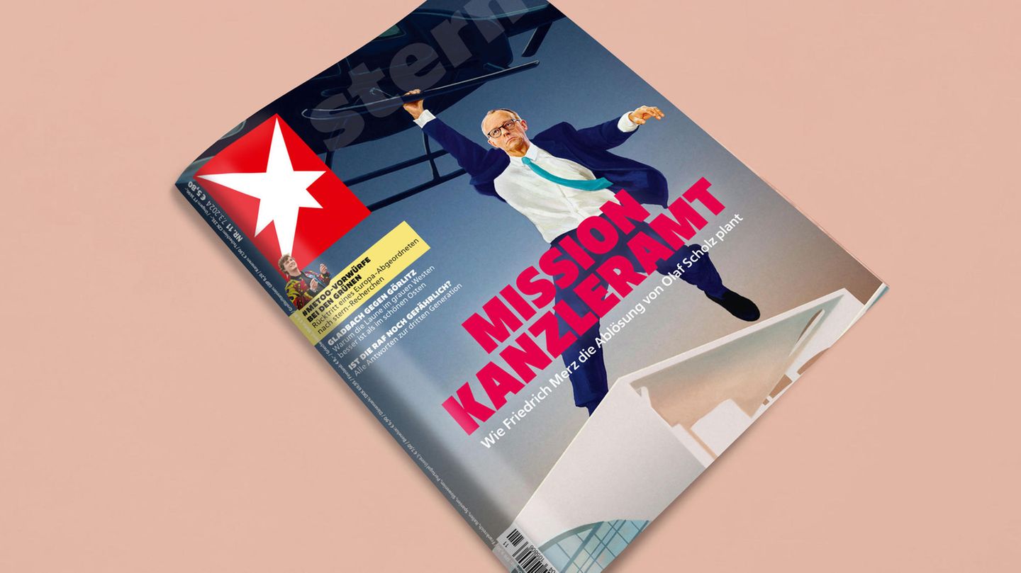 Friedrich Merz’ “Operation Chancellery”: Editor-in-chief about the new star