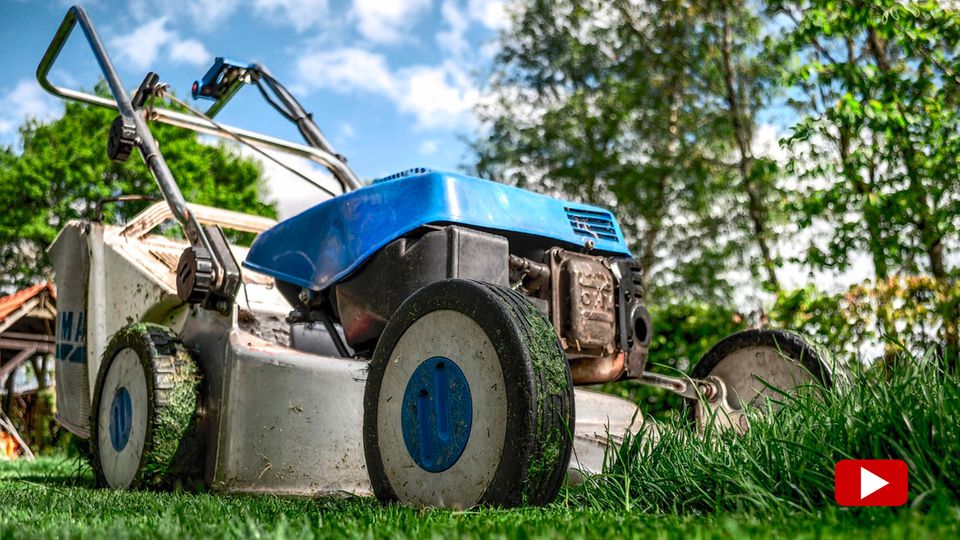 Nach der Winterpause: Das ist der perfekte Zeitpunkt, um das erste Mal Rasen zu mähen Der Frühling steht vor der Tür, das Grün blüht und der Garten verlangt danach, gepflegt zu werden. Wann der richtige Zeitpunkt für die verschiedenen Schritte der Gartenarbeit gekommen ist, verraten wir im Video.