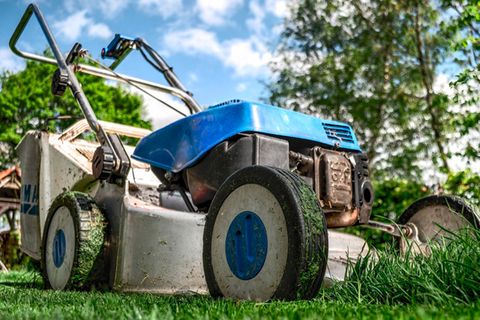 Der Frühling steht vor der Tür, das Grün blüht und der Garten verlangt danach, gepflegt zu werden. Wann der richtige Zeitpunkt für die verschiedenen Schritte der Gartenarbeit gekommen ist, verraten wir im Video.