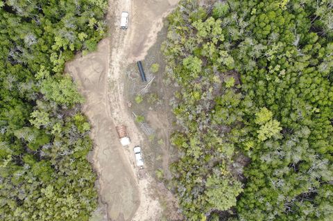 Australien: Die illegal gerodete, zwei Kilometer lange Straße im geschützten Bowling Green Bay National Park