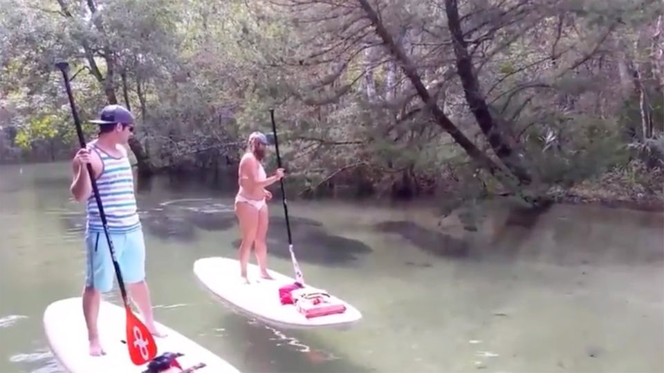 Unheimliche Schatten tauchen neben Stand-up-Paddlern auf