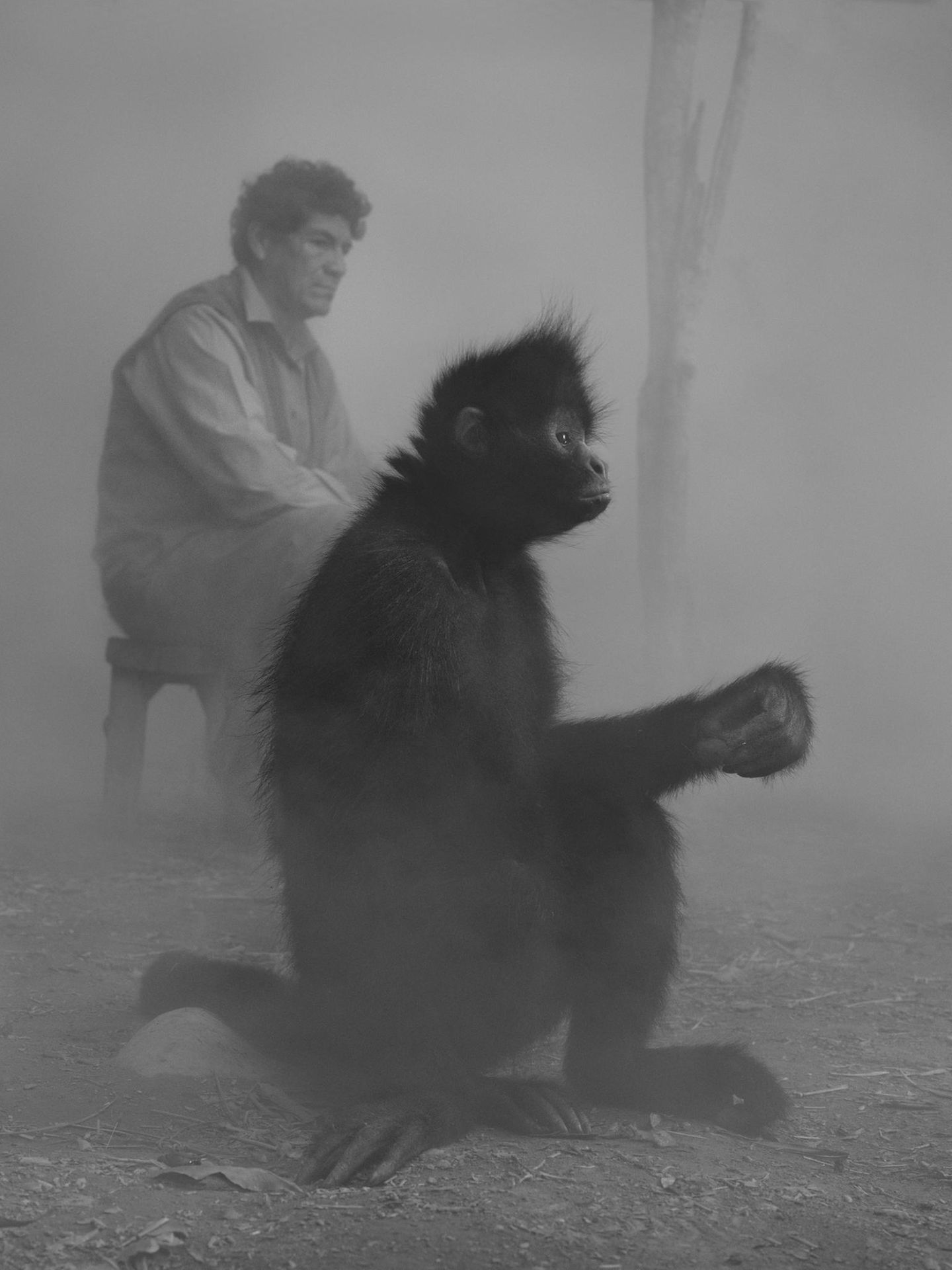 Lucio und Klammeraffe Chascas in Bolivien