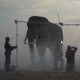 Making of: Nick Brandt fotografiert Matthew und den Elefanten Mak in Simbabwe