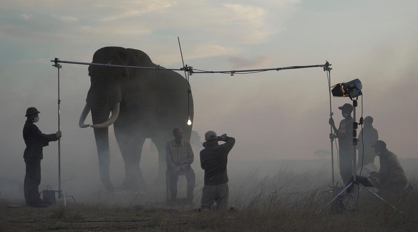 Making of: Nick Brandt fotografiert Matthew und den Elefanten Mak in Simbabwe