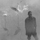 Patrick und Flamingos in Simbabwe