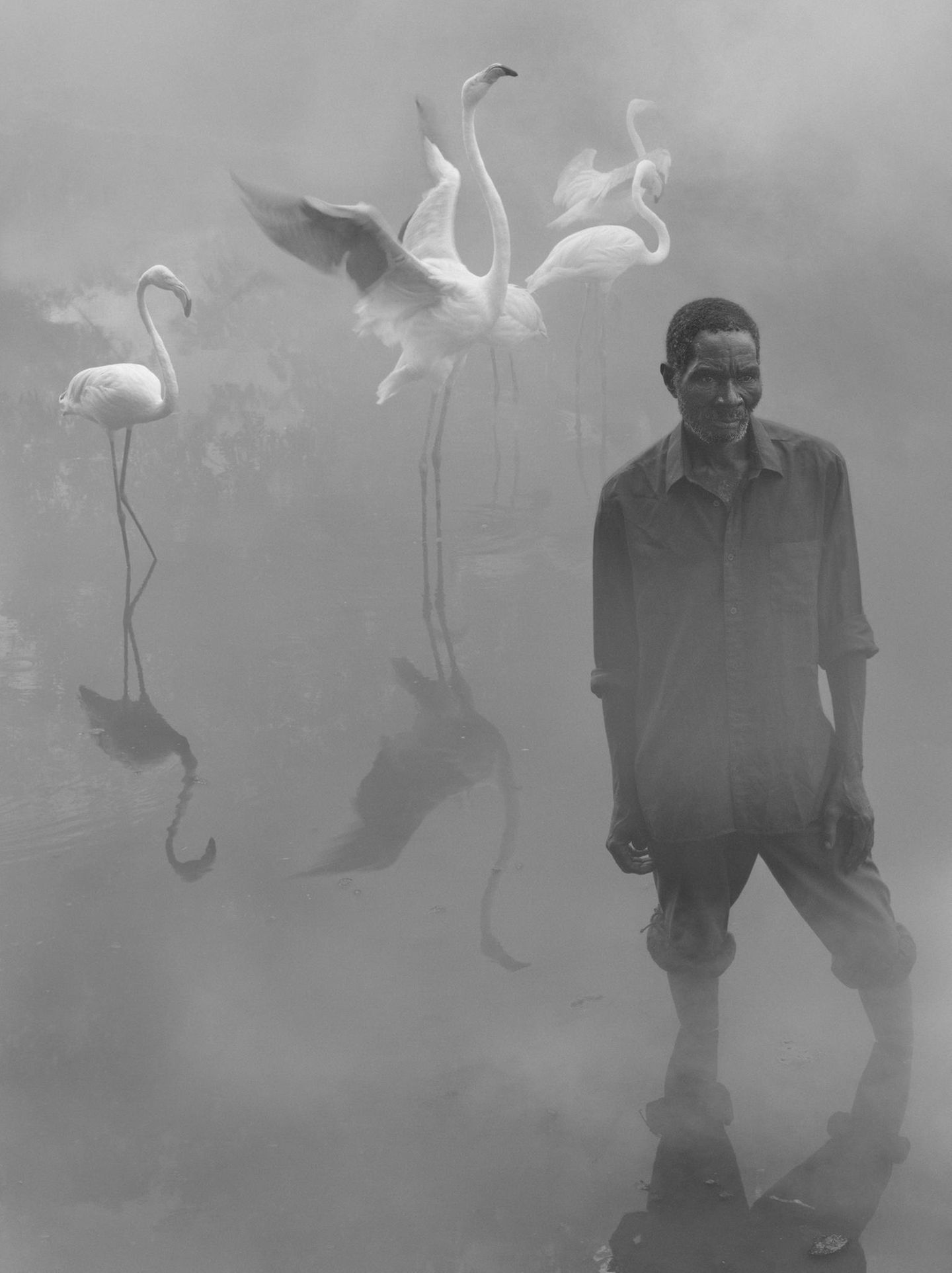 Patrick und Flamingos in Simbabwe