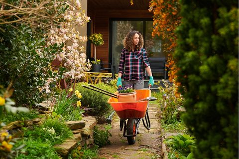 Frau transportiert Gartenwerkzeuge mit einer Schubkarre in den Garten.