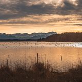 Sisi hat im Schloss Possenhofen einen Großteil ihrer Jugend verbracht. Neben den Überresten des Landguts machen vor allem die Seenlandschaft und das Alpenpanorama die oberbayerischen Gemeinde zu einem besonderen Ort. Die meisten Sehenswürdigkeiten im Ort sind innerhalb von einer Stunde zu Fuß erreichbar, Wanderfans können einen Ausflug in die Berge machen oder am Ufer des Sees entlang wandern. 
