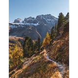 Der Großklockner gehört zu den höchsten Bergen Österreichs – und war auch bei Kaiserin Sisi ein sehr beliebtes Ausflugsziel. Heute eignet sich die Gegend rund um die Ortschaft Heiligenblut vor allem zum Wandern. Vor allem die Bergwanderung zur Kaiser-Franz-Josef-Höhe ist empfehlenswert. Auf knapp 18 Kilometern wandern die Besucher hier tatsächlich auf den Spuren des beliebten Kaiserpaars, von Heiligenblut geht es vorbei an der Bricciuskapelle und dem Leiterfall bis zur Kaiser-Franz-Josefs-Höhe. 