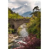 Meran überzeugt auch ohne Sisi durch einen einzigartigen Charme und ein beeindruckende Alpenpanorama. Die Kaiserin verbrachte viel Zeit in der Südtiroler Metropole und verlieh dadurch auch einer der Promenaden ihren Namen. Ein ebenfalls besonderer Ort für Sisi-Fans: Die Steinerne Brücke über der Passer, über die Sisi und ihre Töchter oft gingen, um die Stadt zu erleben. 