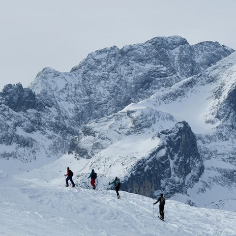 Schweiz: Vier Menschen auf Skiern sind auf einer Skitour in den Alpen unterwegs