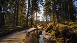 Nationalpark Harz