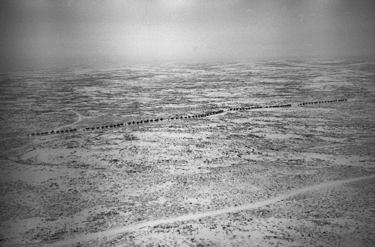 Tagebuchnotiz des Piloten Castell: "Von Nordwesten kommende Kamelkarawanen in der Steppe westlich Ningchia. Ich konnte im Winter Karawanen mit vielen tausend Kamelen beobachten, die bei Ningchia die Große Mauer durchschreiten und die Handelsstraßen, aus den äußeren Provinzen kommend, in Richtung Shansi und Honan verfolgen."