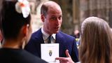 Prinz William