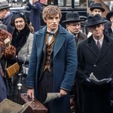 Phantastische Tierwesen