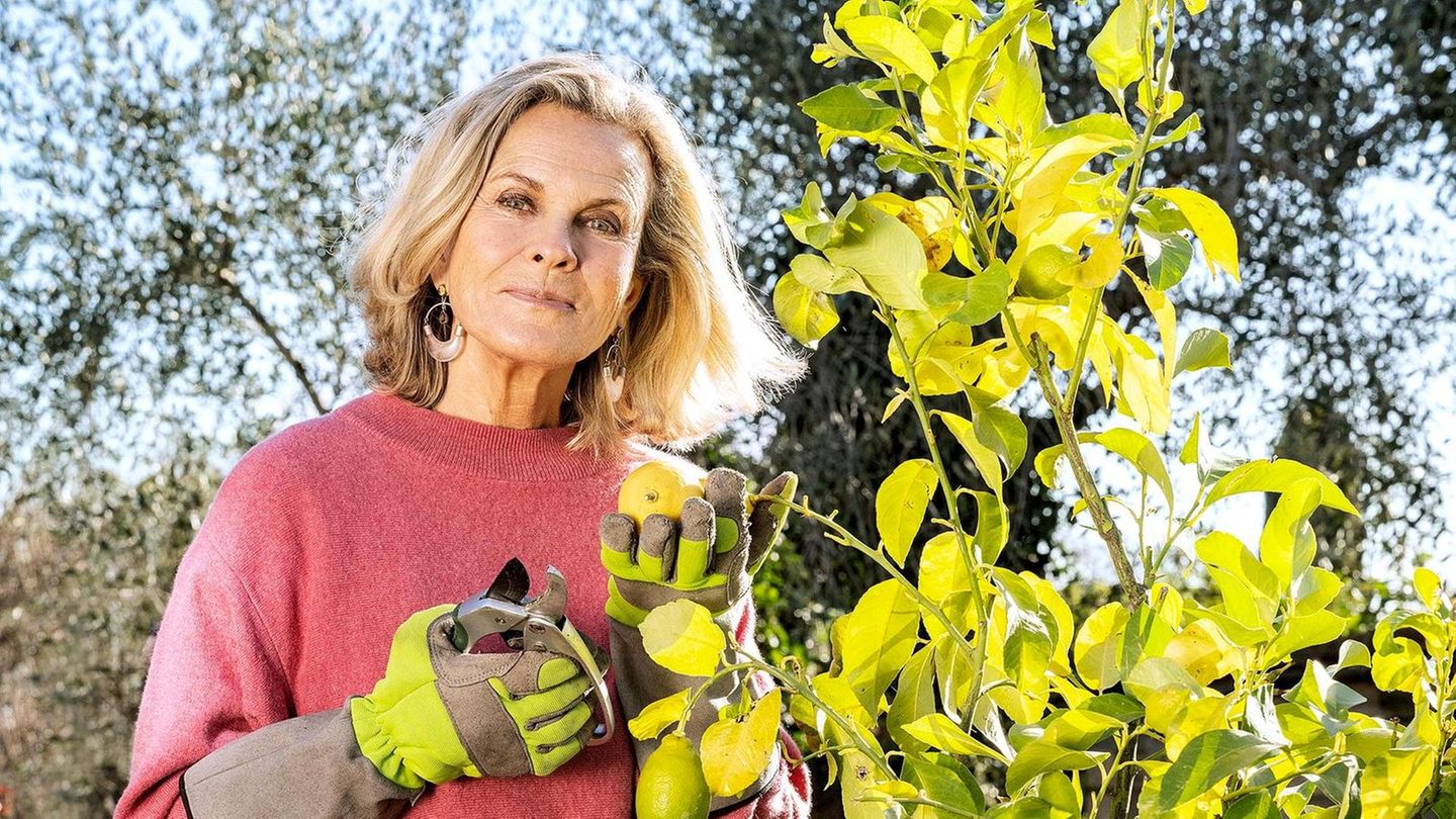 Andrea L'Arronge in Trevignano, Italien bei der Gartenarbeit