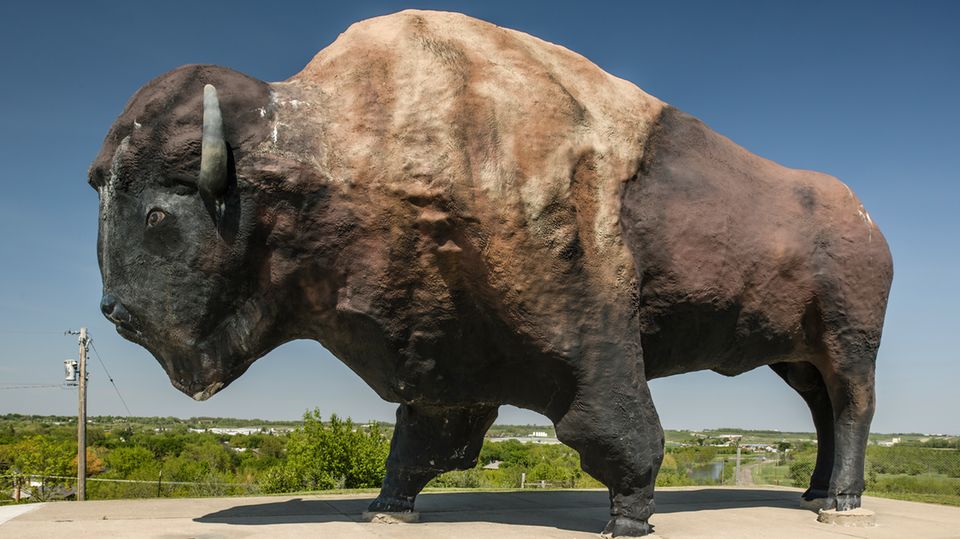 Die Skulptur eines Bisons, der 8 Meter hoch und 14 Meter lang ist und 60 Tonnen schwer