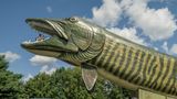 Ein riesiger Fisch aus Fiberglas in Wisconsin/USA