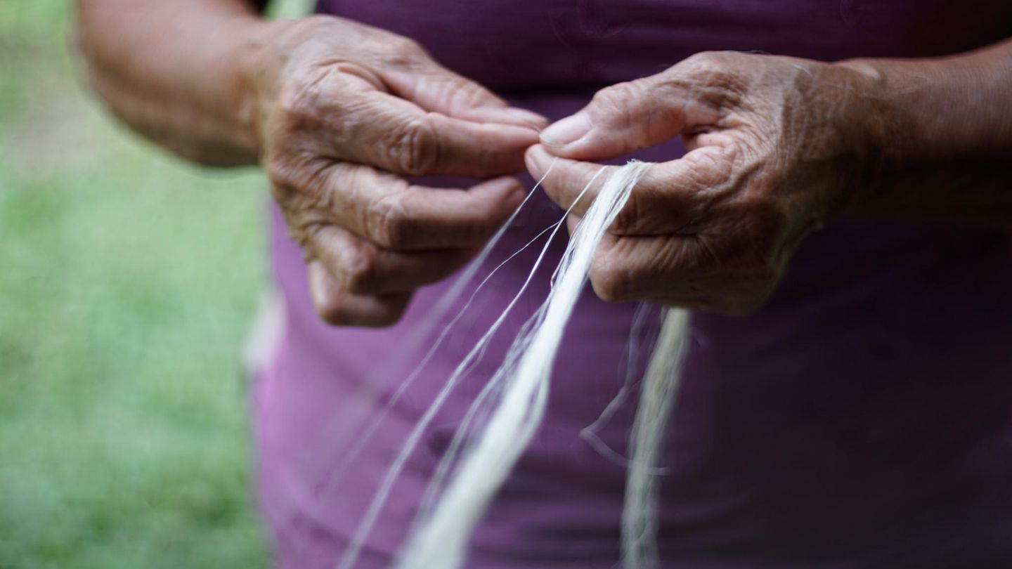 Handweberei aus Ananasblattfasern auf den Philippinen "Piña" ist ein Textil aus Ananasblattfasern, das auf einem Handwebstuhl gewebt wird. Auf den Philippinen ernten Landwirte die Blätter der Pinya Bisaya, einer Ananasart, und extrahieren die Fasern von Hand. Das Wissen um Piñas wird in Familien weitergegeben: Kinder beobachten zunächst ältere Familienmitglieder bei der Kultivierung von Pinya Bisaya und beim Weben von Piñas. Unter Anleitung erlernen sie das Handwerk selbst.