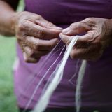 "Piña" ist ein Textil aus Ananasblattfasern, das auf einem Handwebstuhl gewebt wird. Auf den Philippinen ernten Landwirte die Blätter der Pinya Bisaya, einer Ananasart, und extrahieren die Fasern von Hand. Das Wissen um Piñas wird in Familien weitergegeben: Kinder beobachten zunächst ältere Familienmitglieder bei der Kultivierung von Pinya Bisaya und beim Weben von Piñas. Unter Anleitung erlernen sie das Handwerk selbst.