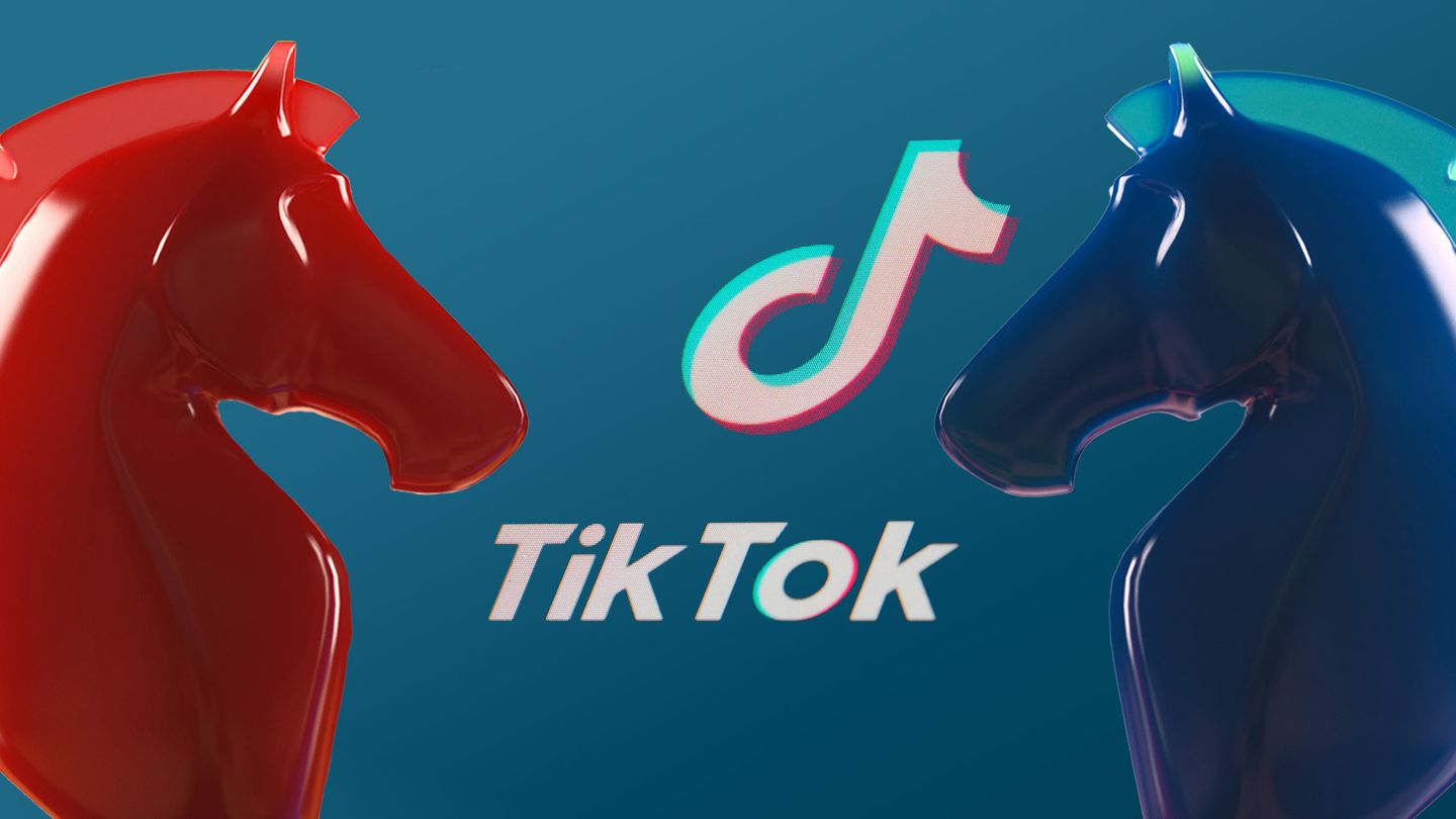 AfD TikTok Zwei Schachfiguren vor einem TikTok-Logo