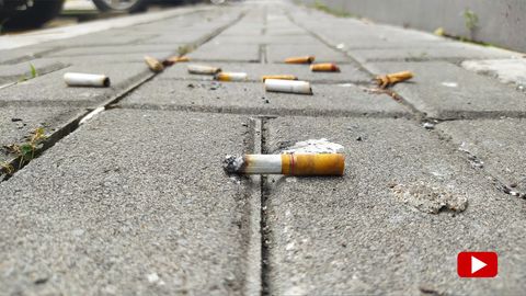 Berlin will Bußgelder erhöhen – eine unachtsam weggeworfene Zigarette könnte bald 250 Euro kosten