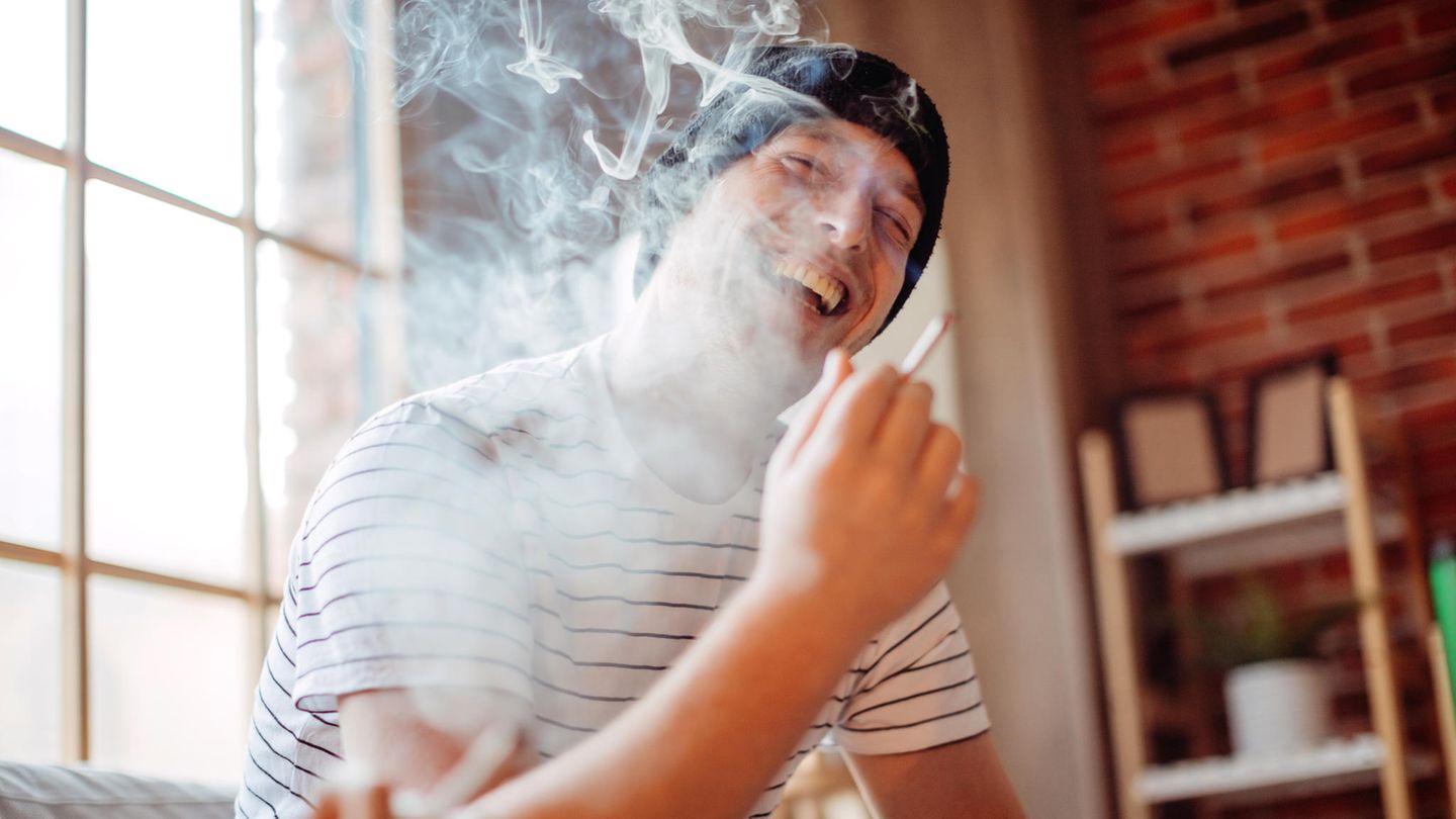 Cannabis Einsatzbereiche In der Medizin nutzt man schon länger die Vorteile von Cannabis für die Behandlung von mehreren Beschwerdebildern. Eingesetzt wird das Rauschmittel vor allem bei Patienten mit chronischen Schmerzen, bei Spastik und schmerzhaften Muskel- und Blasenkrämpfen durch Multiple Sklerose (MS) sowie für Aids- und Krebspatienten. Auch Menschen, die an der Augenkrankheit Grüner Star (Glaukom) leiden, können sich Cannabis verschreiben lassen – zur Stabilisierung des Augeninnendrucks. In Form von CBD-Öl wird Mariuhana außerdem bei Schlafstörungen und Angsterkrankungen empfohlen. Auch auf dem Schwarzmarkt wird mit Cannabis gehandelt, das vor allem zum Rauchen gekauft wird. Die geplante Legalisierung der Bundesregierung soll den illegalen Handel eindämmen. Experten sehen das allerdings teilweise kritisch – aufgrund potenzieller Nebenwirkungen des Konsums wie Psychosen. Wie wirkt die Droge? Der konkrete Weg von Cannabis im Gehirn muss noch erforscht werden. Bisherige Studien konnten aber zeigen, dass das Rauschmittel an unsere eigenen Cannabinoid-Rezeptoren im Gehirn andockt und sich dann durch etliche Wirkungen bemerkbar machen kann. Cannabis macht Konsumenten gelassener und verursacht teilweise euphorische Gefühle bis hin zu Lachflashs. Das Kurzzeitgedächtnis und die Konzentration sind eingeschränkt, stattdessen kommt es zu wilden Gedankensprüngen und die Bewegungen und Gedanken verlangsamen sich. Im schlimmsten Fall kommt es zu einem Gefühl des Kontrollverlusts und zu Angstzuständen, die sich bei dauerhaftem Konsum zu einer Psychose entwickeln können. Klassische körperliche Folgen sind Mundtrockenheit, niedriger Blutdruck und Blutzuckerspiegel sowie geweitete Pupillen.