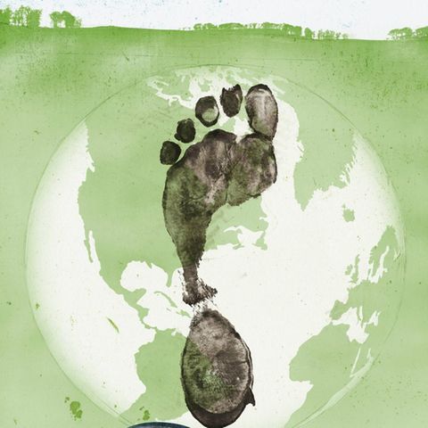Forscher sind sich einig, dass der Klimawandel menschengemacht ist. Ein neues Erdzeitalter ausrufen, wollen aber nur wenige