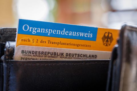Organspende Register ab heute: Ein Organspendeausweis steckt in einer Brieftasche