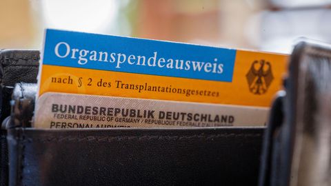 Organspende Register ab heute: Ein Organspendeausweis steckt in einer Brieftasche