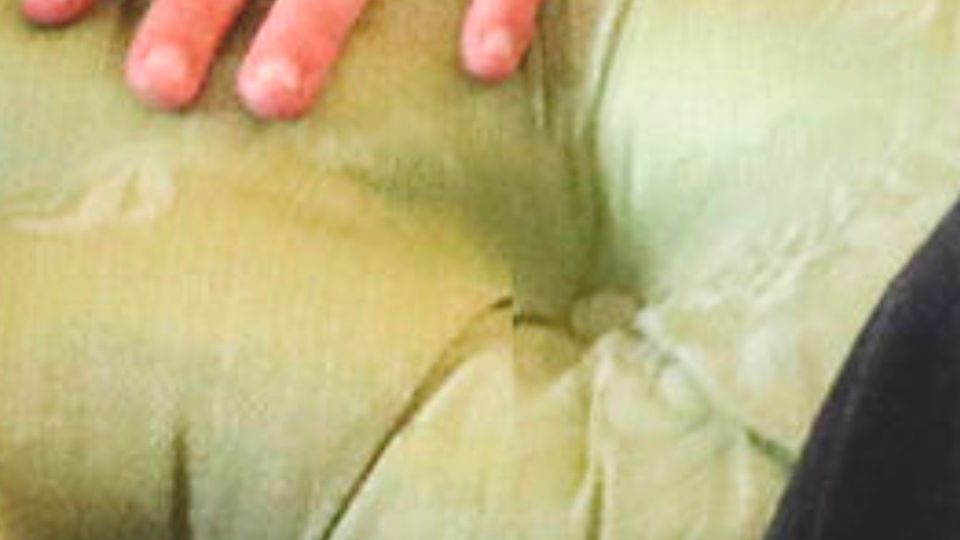 A detail of the green sofa: the transitions are wrong A detail of the green sofa: the transitions are wrong