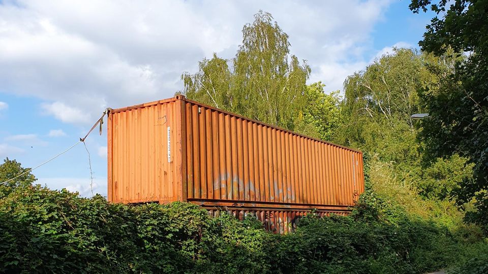 Internationaler Tag des Waldes: Die Hafennähe ist im Wilden Wald in Wilhelmsburg deutlich zu spüren Die Hafennähe ist im Wilden Wald in Wilhelmsburg deutlich zu spüren