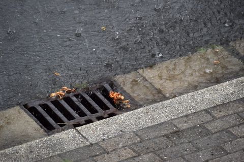 Nahaufnahme eines Gullideckels, in den Regenwasser reinrauscht.