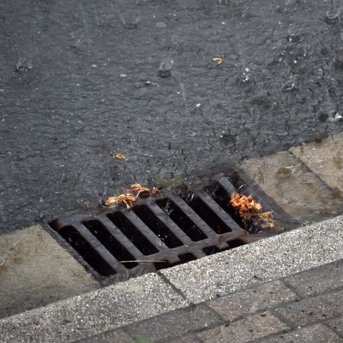 Nahaufnahme eines Gullideckels, in den Regenwasser reinrauscht.