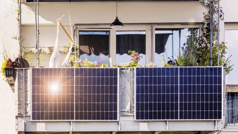 Balkonkraftwerk kaufen und Strom selbst erzeugen: Ein Solarmodul im Sonnenschein