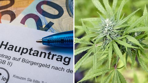 Eine Bildkombination mit einem Bürgergeld-Antrag und einer Cannabis-Pflanze