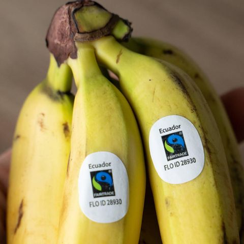 Diskussion um Lieferketten: Billige Scheinlösung oder viele kleine Schritte, die wirken: Wie fair ist Fairtrade?