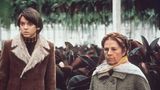 Die ungewöhnliche Liebesgeschichte zwischen einem jungen Erwachsenen, der mehrfach seinen Suizid vortäuscht, und einer deutlich älteren Frau ist ein Filmklassiker. Aber haben die vermeintlichen Suizide oder die Erotik für ein Verbot des Filmes an Karfreitag gesorgt? Das wissen wohl nur die Damen und Herren, die 1988 dieses Urteil gefällt haben.