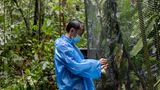 Mitarbeiter Riki Saputra checkt einen Käfig des Auswilderungs-Geheges im Nationalpark. Dort finden die Primaten ein reichhaltiges, natürliches Angebot an Pflanzen und kleinen Tieren, die sie jagen